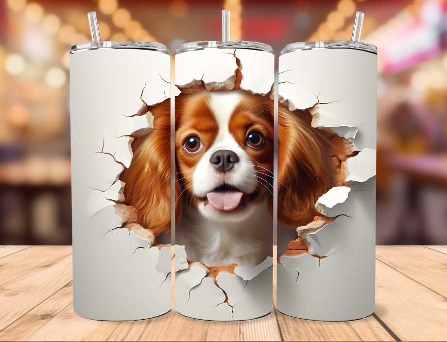 Tumbler - Cavalier King Charles Spaniel  i væg