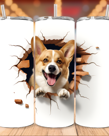 Tumbler - Corgi i væg
