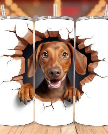 Tumbler - Gravhund i væg