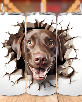 Tumbler - Labrador brun i væg