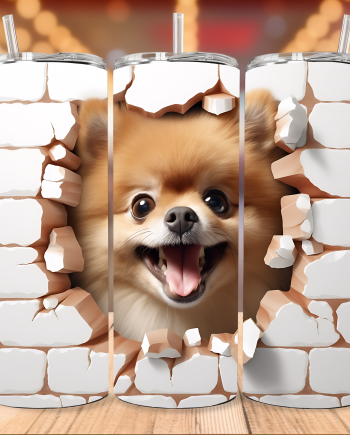 Tumbler - Pomeranian i væg