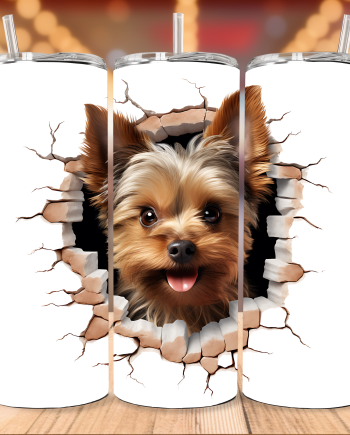 Tumbler - Yorkshire terrier i væg