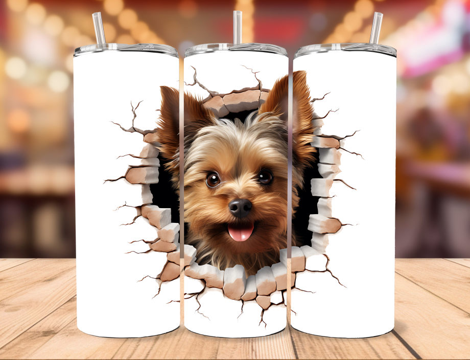 Tumbler - Yorkshire terrier i væg