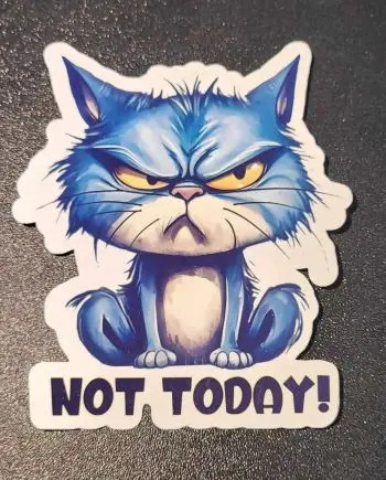 Klistermærker - Not today