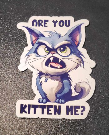 Klistermærker - Are you kitten me