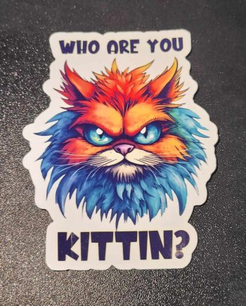 Klistermærker - Who are you kittin
